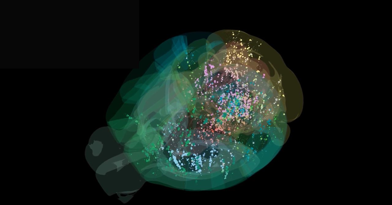 Científicos mapean por primera vez la toma de decisiones en un cerebro