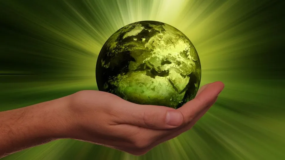 La sostenibilidad: una necesidad empresarial frente al cambio climático