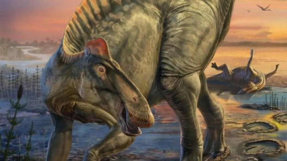 Descubren detalles inéditos de dinosaurios 'momificados'