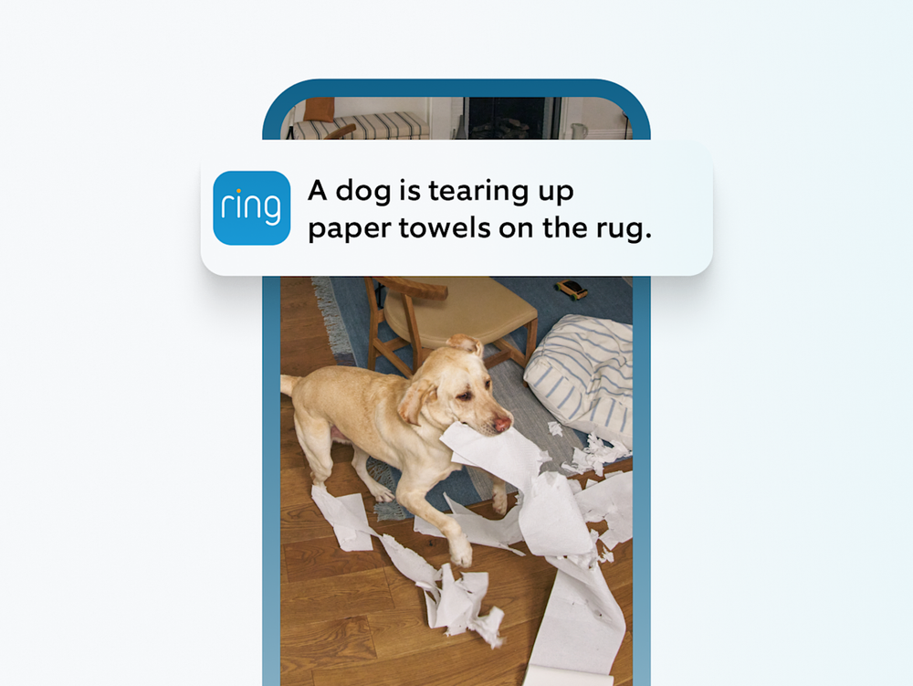 Ring revoluciona las alertas con IA para reducir notificaciones