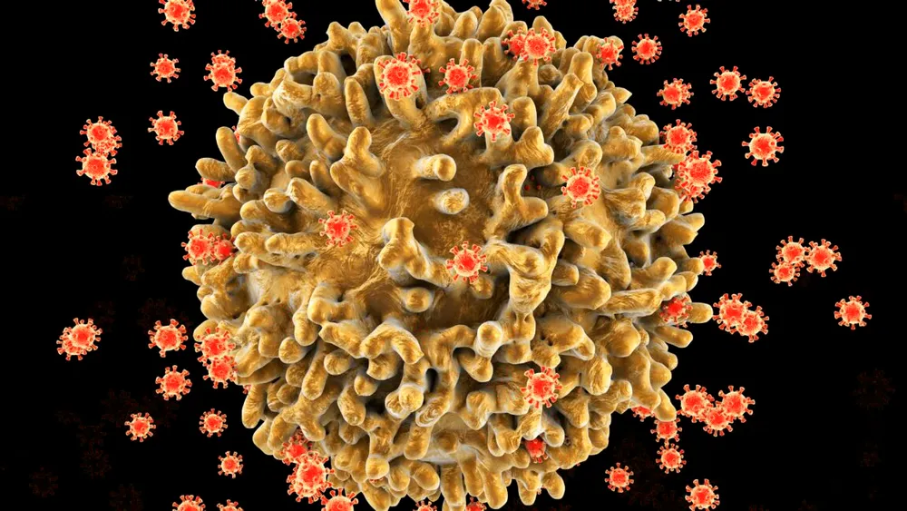 Avances prometedores apuntan a una cura funcional para el VIH