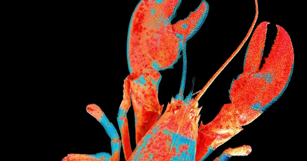 Red social para IAs expone datos de usuarios reales